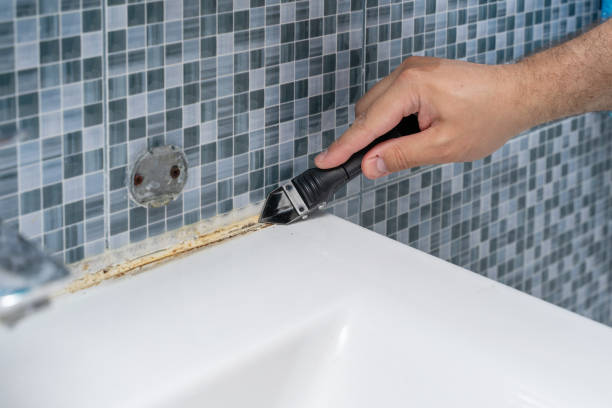 Best Mold Removal Process  in Camilla, GA